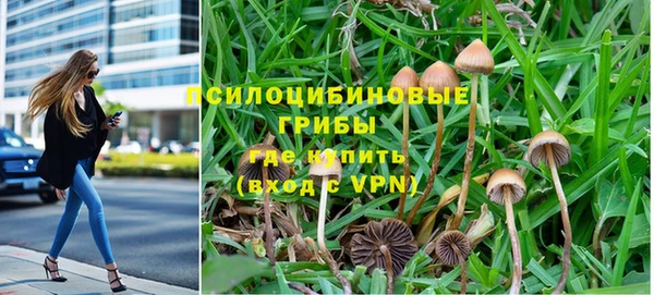 альфа пвп Медногорск
