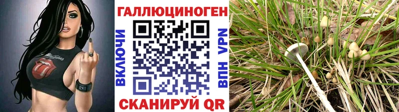Псилоцибиновые грибы мицелий  ссылка на мегу ссылка  Таганрог 